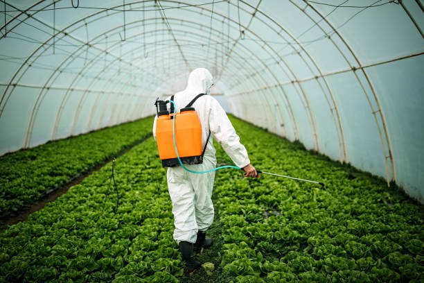 Best Local Pest Control Services  in Garnett, KS