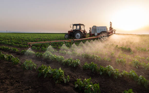 Best Best Pest Control Companies  in Garnett, KS