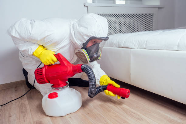 Best Wasp Removal Services  in Garnett, KS