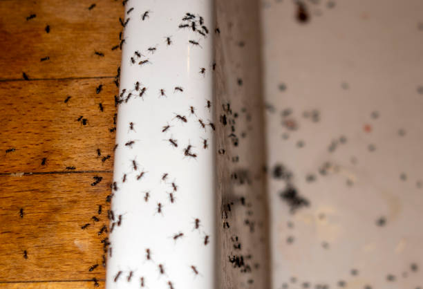 Pest Control Cost in Garnett, KS