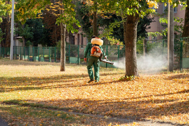 Trusted Garnett, KS Pest Control Experts