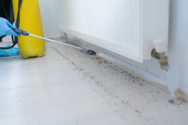 Best Best Pest Control Companies  in Garnett, KS