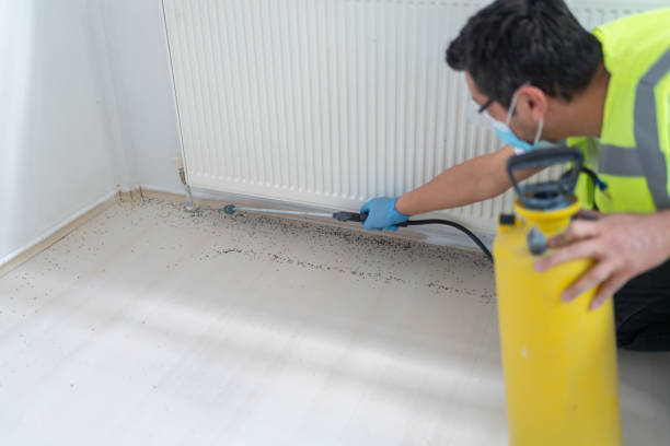 Best Best Pest Control Companies  in Garnett, KS
