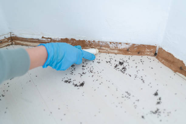 Best Pest Removal Services  in Garnett, KS